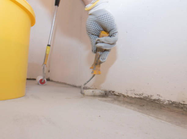 Best Fumigation Services  in Saranac, MI